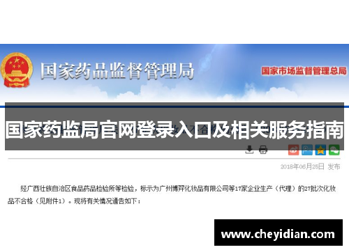 国家药监局官网登录入口及相关服务指南